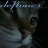 lomosaltado005