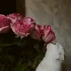 mva21__