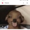 viry_428