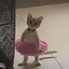 minh.qunh95