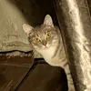 AFaGP Нарезки