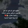 user56619953204323