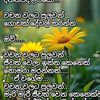 user8849848771321