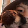 simonretamozo4