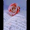 nadahassan9042