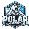 polar.gaming.stat