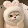 user1219936249177
