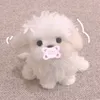 cc.bng.gn029