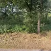 szalony712