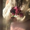 rose_petal_23