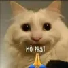 Đi làm đại đại