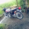 aadyaglen.mark.sa
