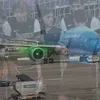 hongdat21