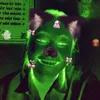 hong.tho.ly28