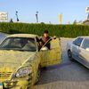 saif79481