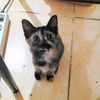 kimiwnew