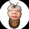 khoi_ngunhucho