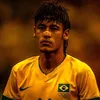 q_bnp8