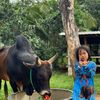 nongpaew4