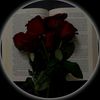 themiddleeast143