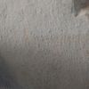 user54550517485614sonson