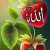 user429630460