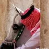 .f160451