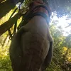 kornet_love