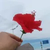 txojkevhlubtsitiag