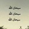 user62706061082447