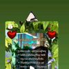 user5301321368580