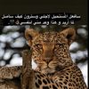 ghrkayslcan