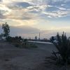 alialicv6