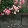 سيستجيب 🍃