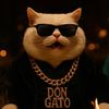 catmeowingb