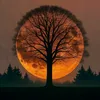 malek_949malek