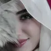 jsbsj358