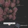 zr_2202