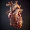 Cardiobeat Bybeat