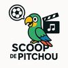 scoopdepitchou