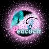 a.g.peacock