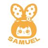 SamuelBlindbox official