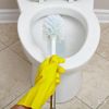 toilexuvssj