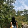 suma_zakii
