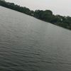www.bosee