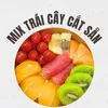 mixtraicaycatsan