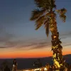 dhya1099