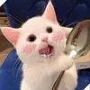 timkiemtinhyeudoiminh