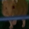 cooper.hay22