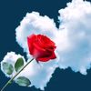 user9954183191207